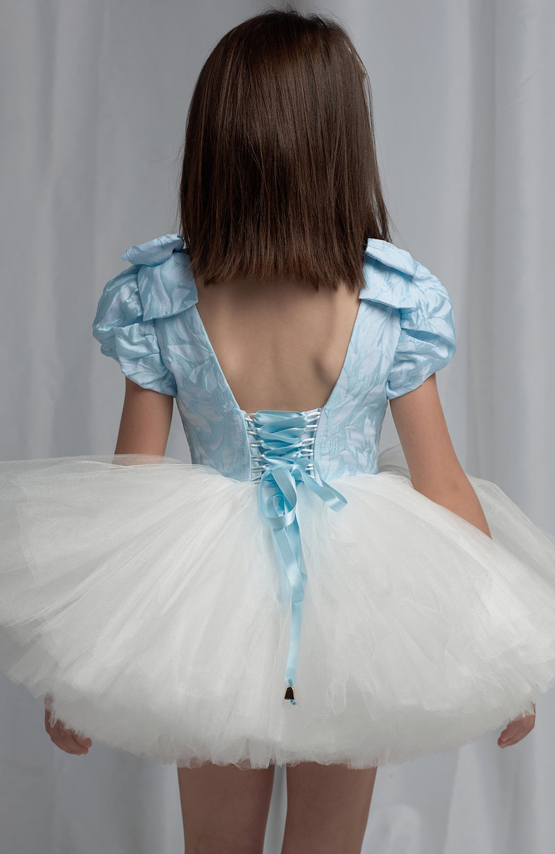 Doll dress with Baby Blue top and white skirt - Flowers and Ruffles