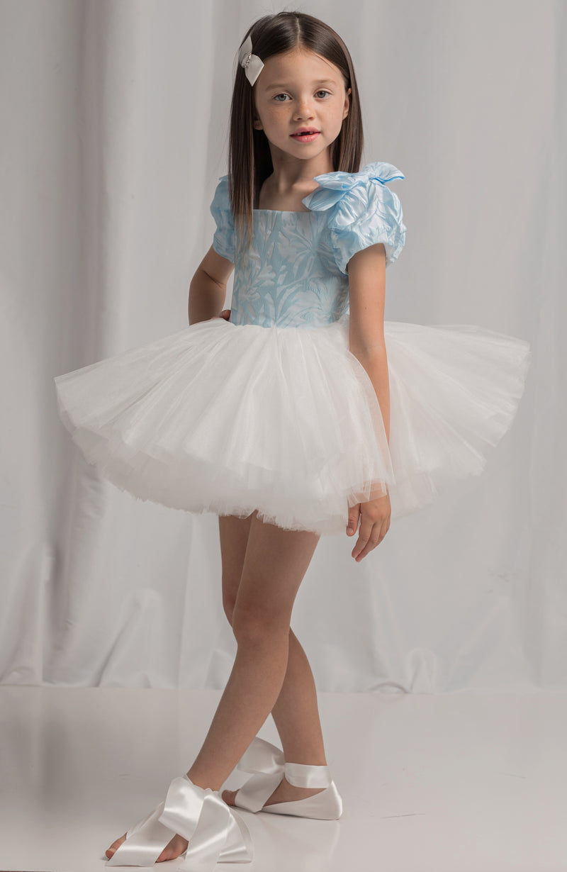Doll dress with Baby Blue top and white skirt - Flowers and Ruffles